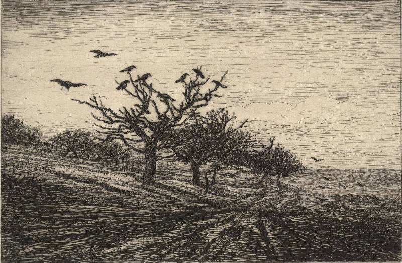 L'Arbre aux Corbeaux