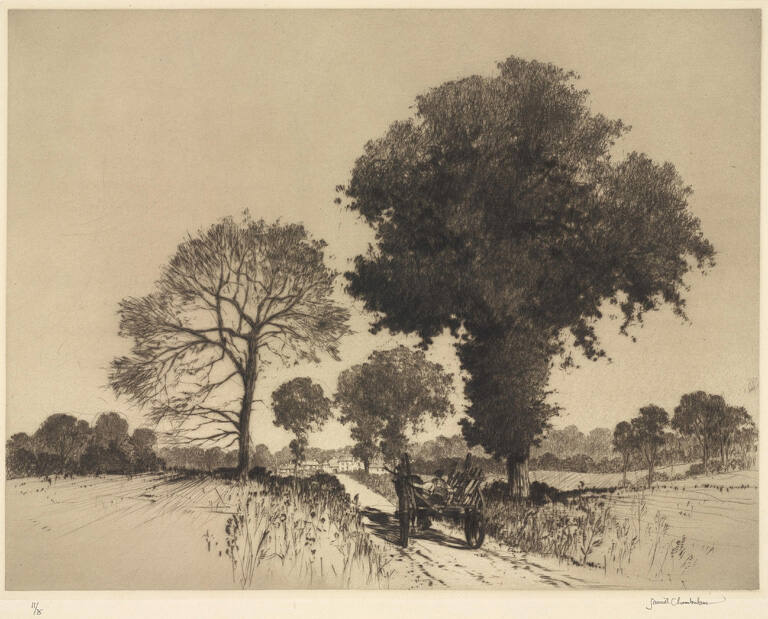The Country Road