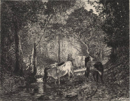 Cows in the Woods