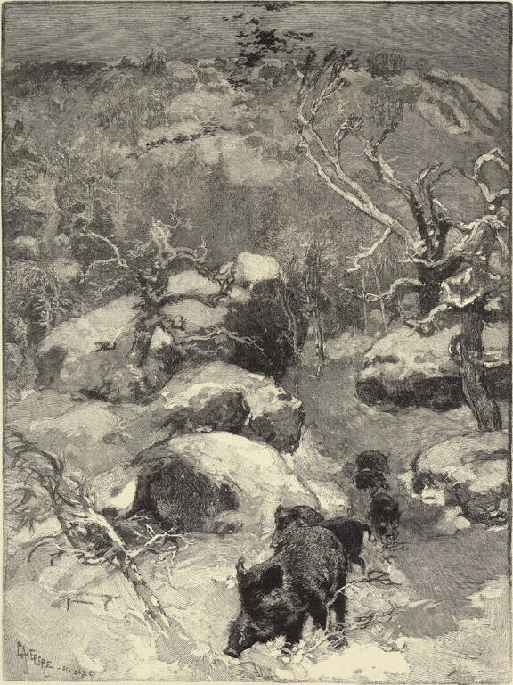 Roche Cuvier-Chatillon (forêt de Fontainebleau)