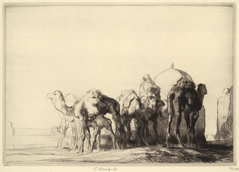 Camels at a Well