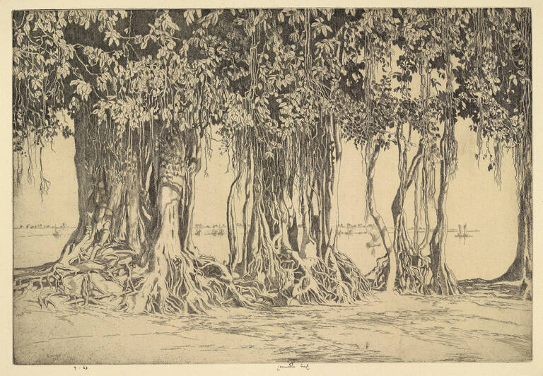 The Banyan Tree