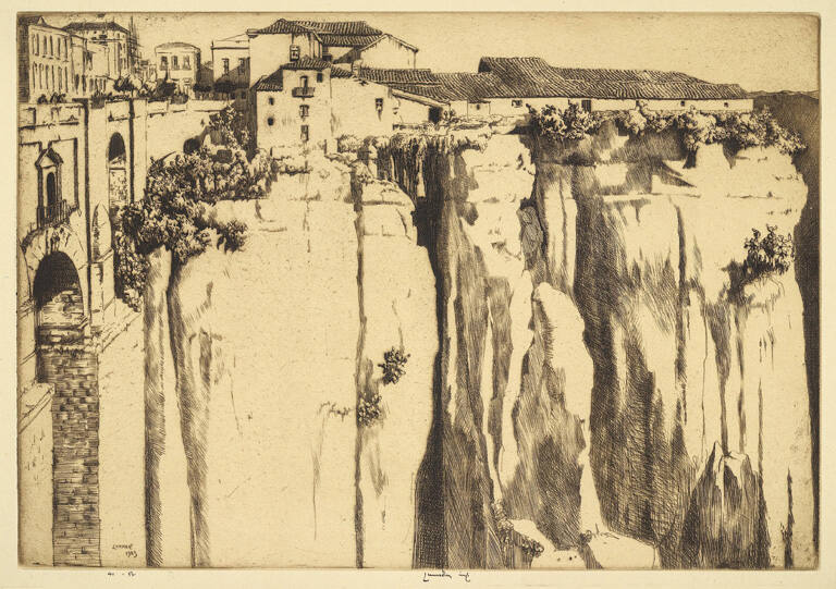 Cliff and Cactus, Ronda, Spain