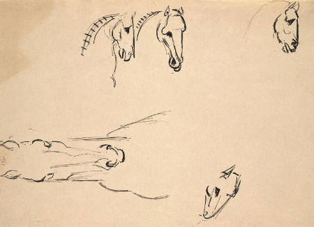 Study of Horses, After Leonardo