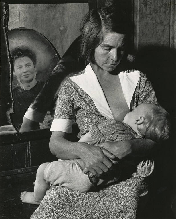 [Okefenokee Swamp, Georgia]