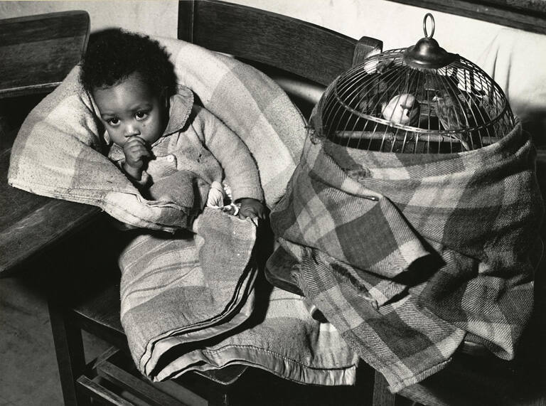 [Baby in shelter during flood, Louisville, Kentucky]