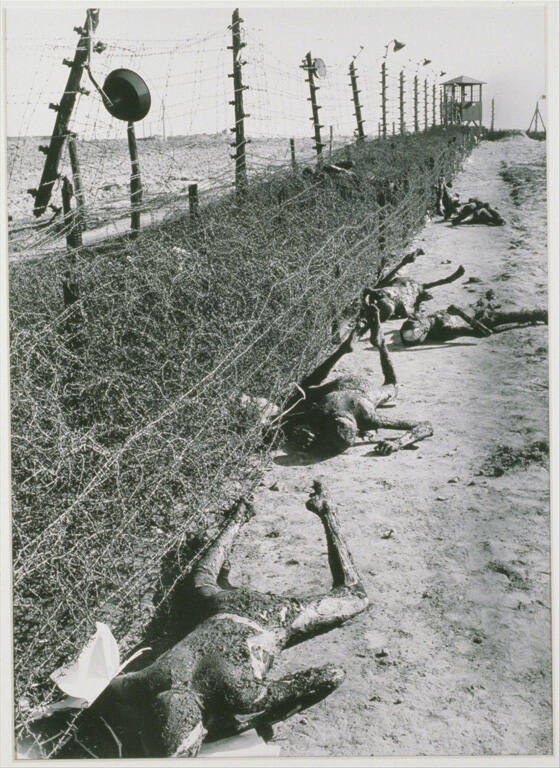 [Erla concentration camp, Leipzig-Mochau, Germany]