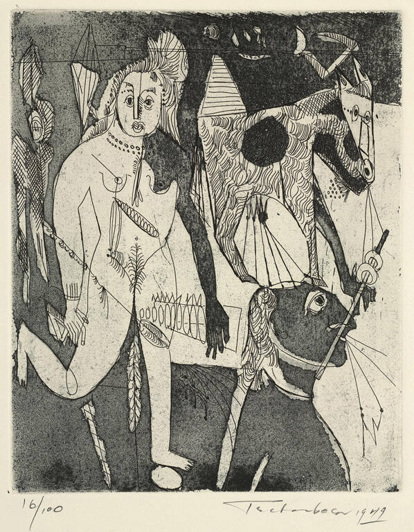 Anthropological Variations