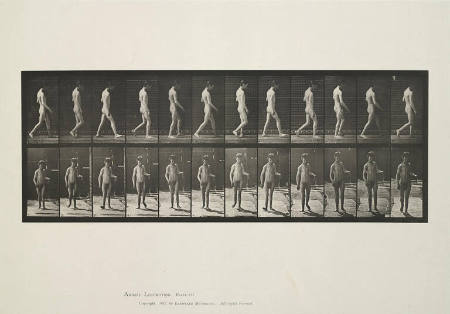 Epilepsy; walking, plate 551 from Animal Locomotion