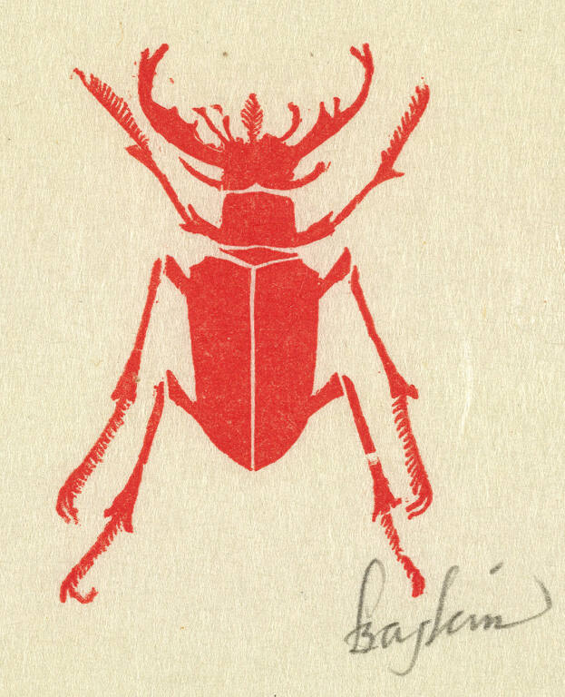 Beetle, from A Little Book of Natural History