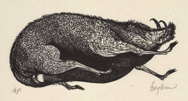 Boar, for Flaubert's St. Julien the Hospitaller