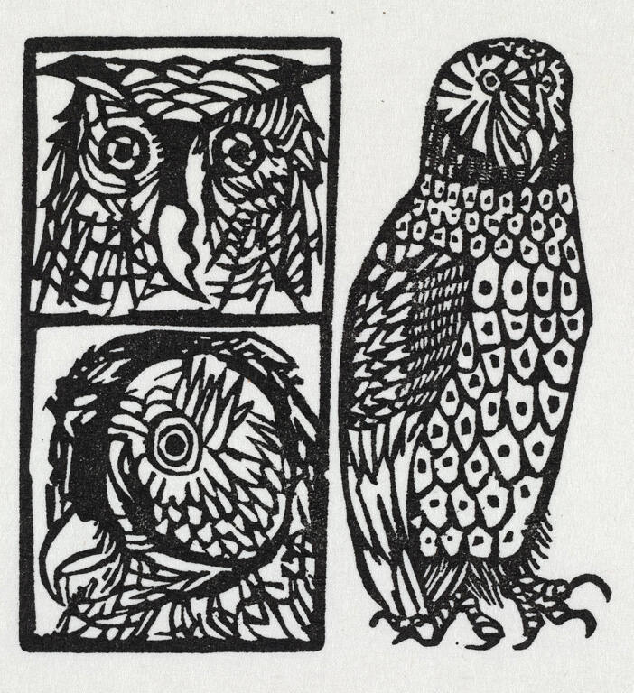 Owls, from A Little Book of Natural History