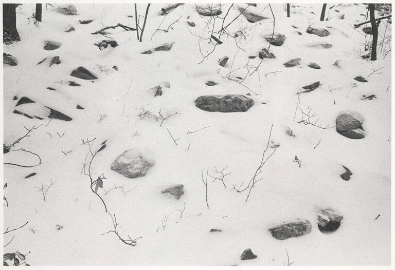 Untitled, from the portfolio Creative Artists Public Service Program, Selected Photographers 1970 and 1971