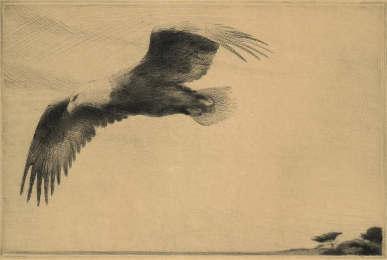 Untitled [Eagle]