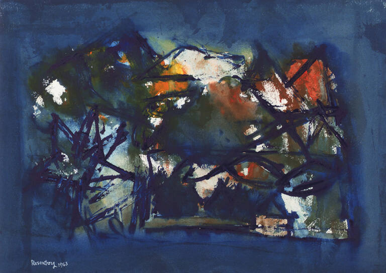 Night. American Landscape