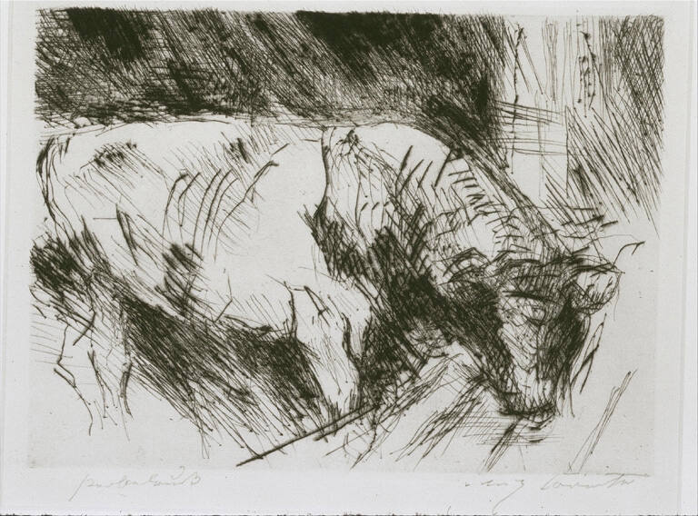 Der Bull (The Bull)