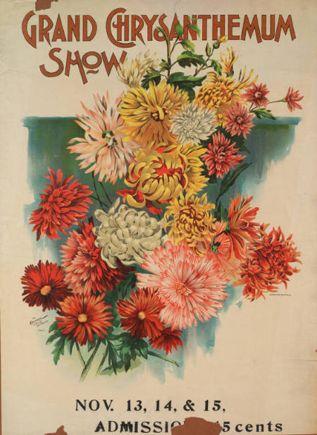 Grand Chrysanthemum Show