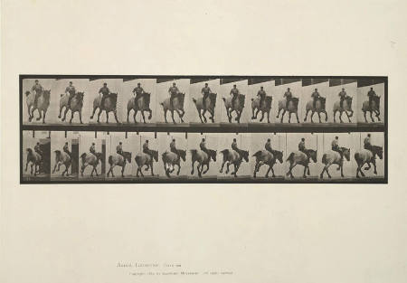 Gallop; bareback, plate 629 from Animal Locomotion