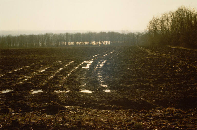 Light Series I -- Light 4.4.79 (Field along Route 90)