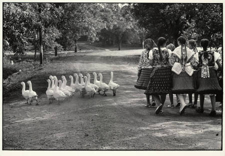 Elliott Erwitt