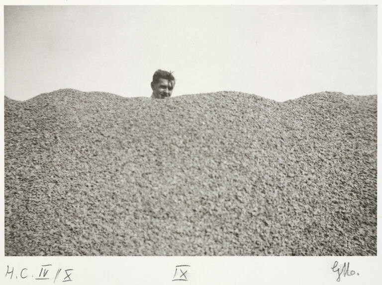 L'apparition, from the portfolio La fidélité des images