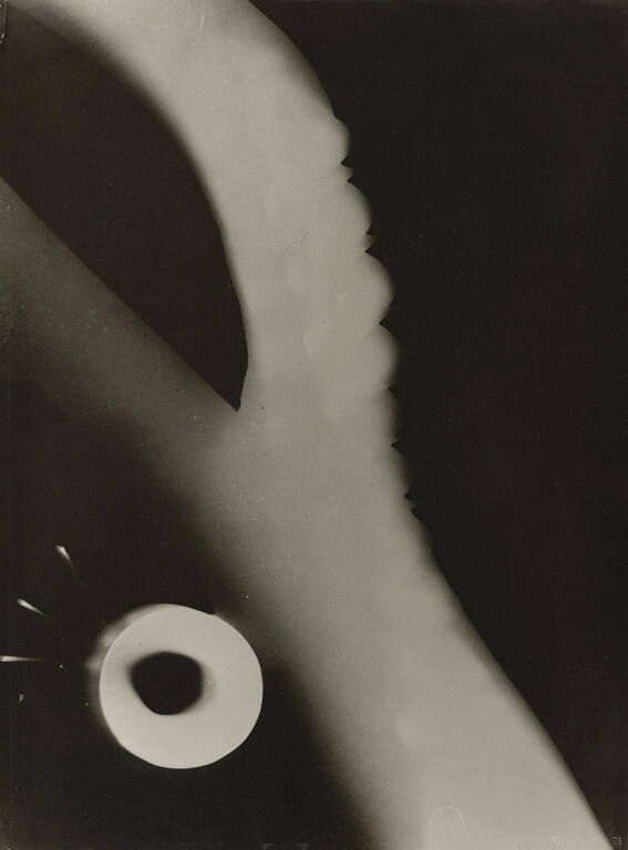 Fotogramm, from the portfolio 10 Fotogramme (10 Photograms)