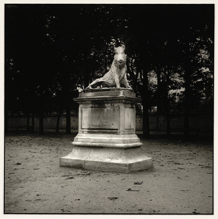 Untitled, from the portfolio Points on a map