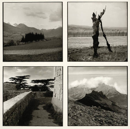 Untitled, from the portfolio Points on a map