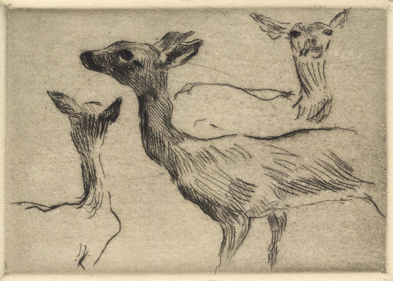 Die Hirsche [Deer]