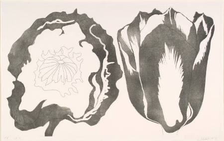 Tulip and Anemone