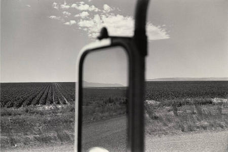 Lee Friedlander