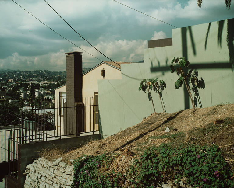 Untitled, from the portfolio Los Angeles Documentary Project