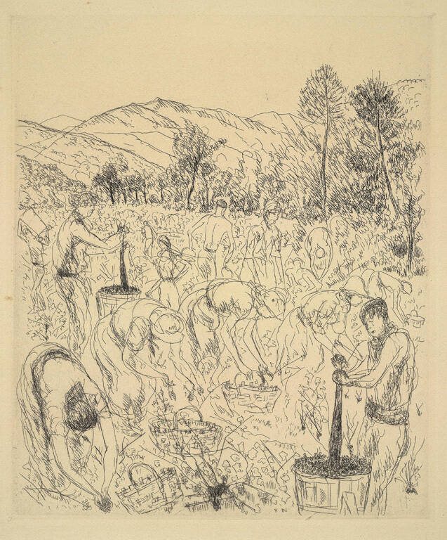 Les vendages pres de la Mole (from Les Georgiques)