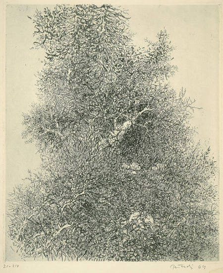 Untitled (tree)