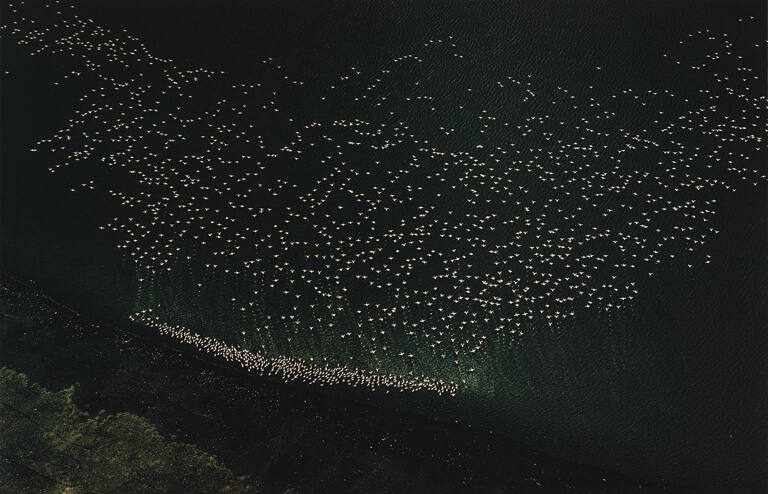 Lake Huntington, Kenya, 1970, from the portfolio The Creation