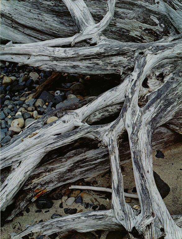 Cape Meares, Oregon