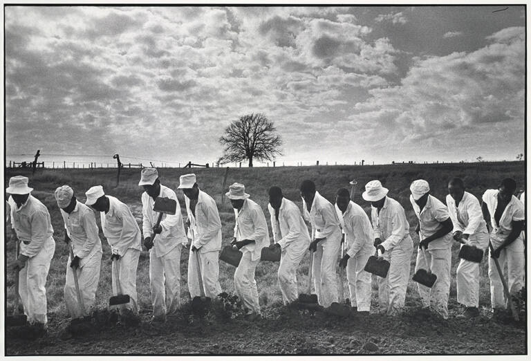 The line, Ferguson Unit, Texas, from the portfolio Danny Lyon