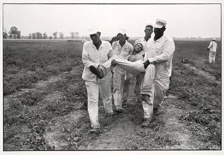 Heat exhaustion, Ellis Unit, Texas, from the portfolio Danny Lyon