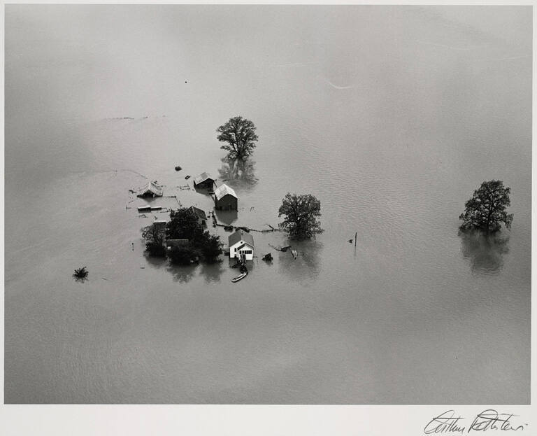 Mississippi River flood, St. Louis, Missouri, from the portfolio Arthur Rothstein