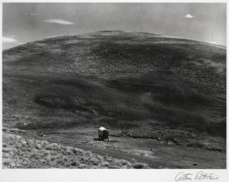 Sheepherder's camp, Montana, from the portfolio Arthur Rothstein