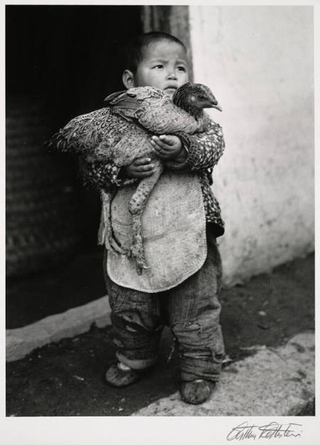 Boy with chicken, Hungjao, China, from the portfolio Arthur Rothstein