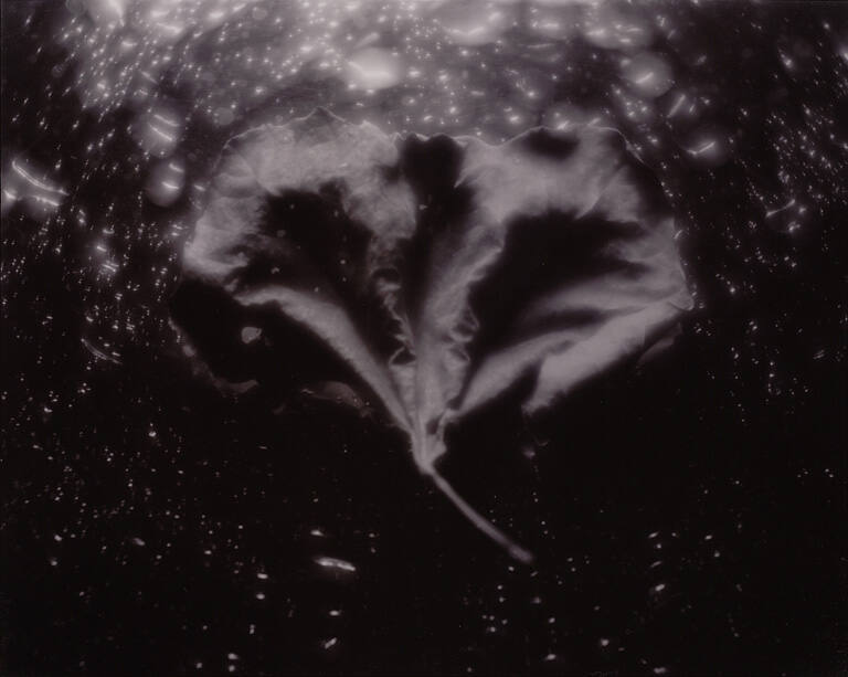 One image of untitled triptych from Triptych: the Second Apeiron Portfolio