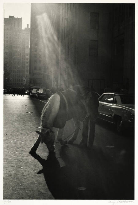 Horse and cowboy, Rockefeller Center, NYC, from the portfolio Streetwork
