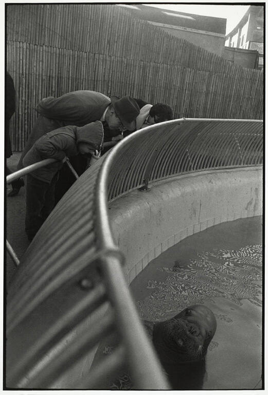New York City, from the portfolio Garry Winogrand
