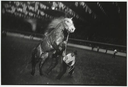 Fort Worth, Texas, from the portfolio Garry Winogrand