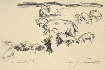 Schweineherde [Herd of Pigs]