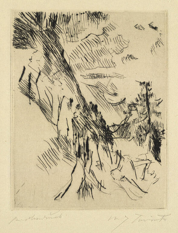 Larche mit Herzogstand [Larch tree with ducal insignia]