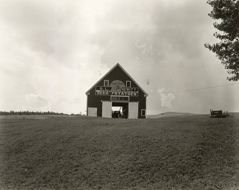 [Buck Brand Seed Potatoes sign on barn, near Presque Isle, Maine], from the series Route 1