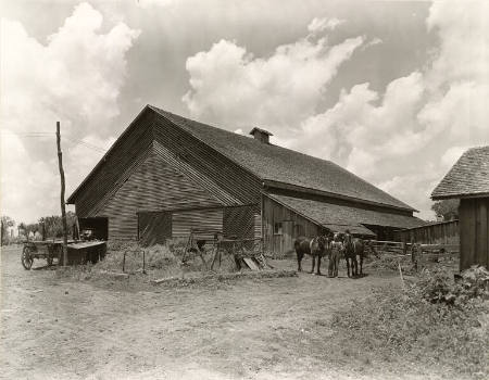 [Barn and R.S. Moore, tenant farmer, near Pulaski, Tennessee]