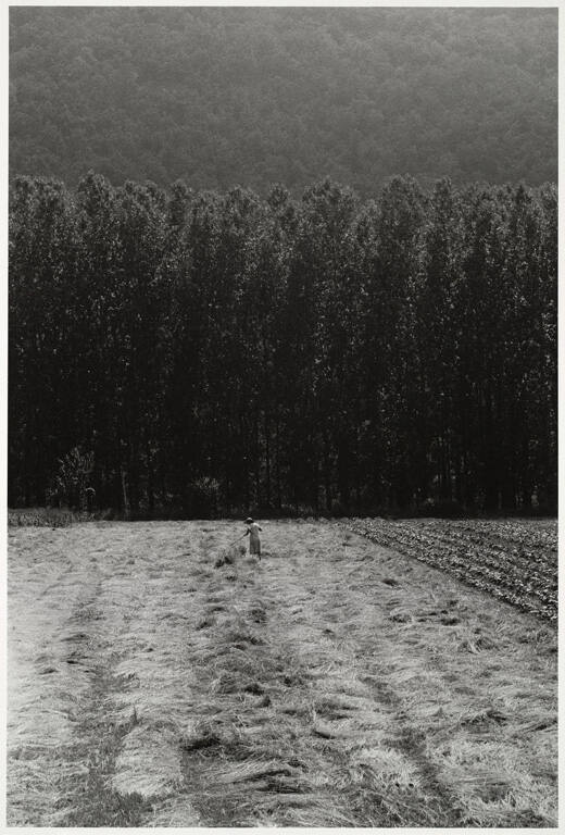 Foins, Cahors, from the portfolio Eduoard Boubat